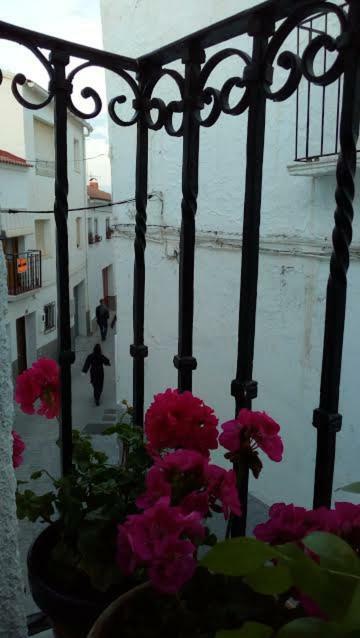 La Casa De La Acequia Guest House Serón Eksteriør bilde
