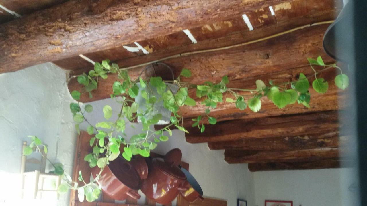 La Casa De La Acequia Guest House Serón Eksteriør bilde